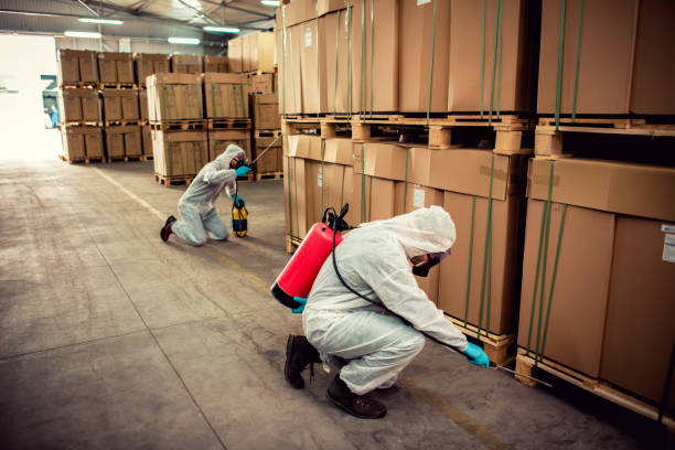 Best Exterminator Services  in Fulda, MN